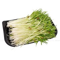 Mầm Rau Muống Hộp 200g (ea)