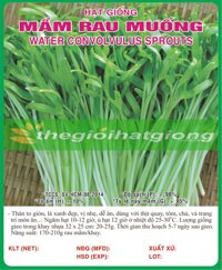 MẦM RAU MUỐNG (INDONESIA)