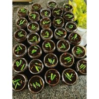 Mắm ruột cá ngừ kho thịt ba chỉ