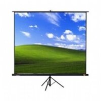 Màn chiếu 3 chân Dalite 60 inch - Mã P60TS