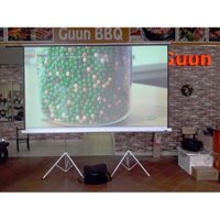 Màn chiếu 3 chân di động 150 inch ( 3m05 x 2m25 )
