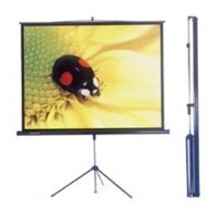 Màn chiếu 3 chân Herin 60inch