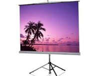 Màn chiếu 3 chân Herin 84inch