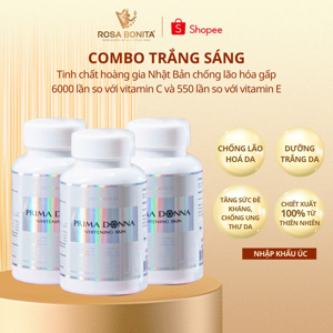 Màn chiếu Prima - 60” x 60”, 3 chân