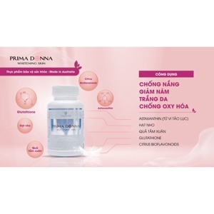 Màn chiếu Prima - 60” x 60”, 3 chân