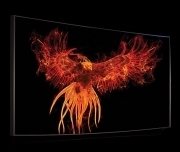 Màn chiếu 3D-Tek Phoenix