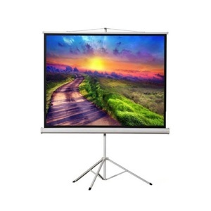 Màn chiếu ba chân Apollo TRS180R