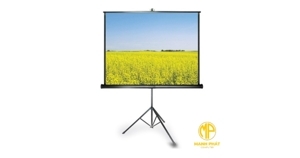 Màn chiếu ba chân Apollo TRS220R