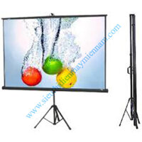 Màn Chiếu Chân 60Inch