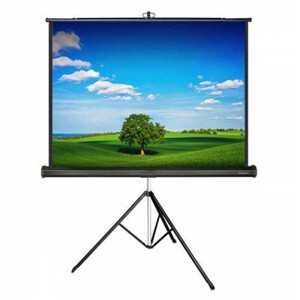 Màn chiếu Chân Dalite P96TS 136 Inch