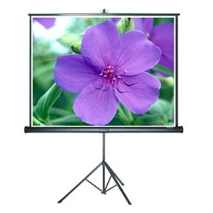 Màn chiếu đứng Grandview PT-H84x84WM - 84 x 84 inch (2.13 x 2.13 m)