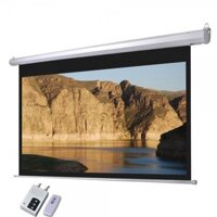 MÀN CHIẾU ĐIỆN 120” (ELS220)