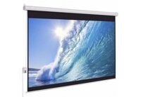 Màn Chiếu Điện 200 INCH DA-LITE Điều Khiển - Mã P200ES (Tỉ Lệ 1 : 1)