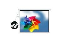 Màn chiếu điện 200 inch