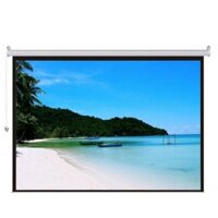 Màn chiếu điện Apollo 200 inch ELS360 (144x144)