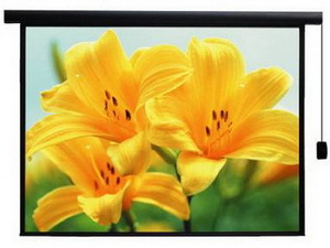 Màn chiếu điện Apollo 96 x 96