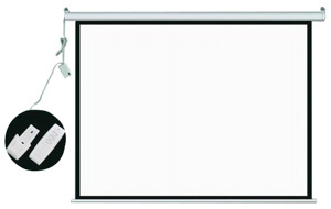 Màn chiếu điện Dalite - 120 x 120 inch (3.05m x 3.05m)