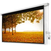 Màn chiếu điện Dalite 170 inch
