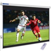 Màn chiếu điện Dalite P250ES - 250 inch