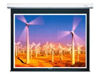 Màn chiếu Điện Dalite PW150ES 150 Inch