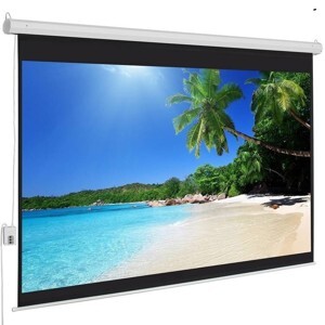 Màn chiếu Điện Dalite PW250ES - 250 inch (Kích thước: 5,10m x 3,8m)