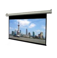 Màn chiếu Điện Dalite PW300ES 300Inch