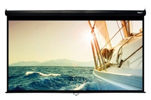 Màn chiếu điện Dalite PW450ES