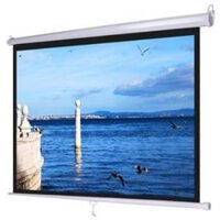 Màn chiếu điện điều khiển Dalite 50 Inch - Mã P50ES