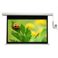 Màn chiếu điện điều khiển Dalite 300 Inch - Mã PW300ES