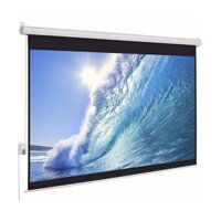 Màn chiếu điện Exzen 170 inch ENS170SWM