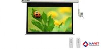 Màn chiếu điện Regent 170inch