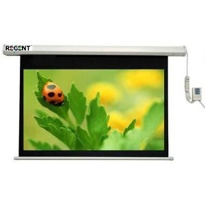 Màn chiếu điện tử Apollo ELS220