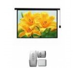 Màn chiếu điện tử Dalite 170 inch