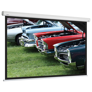 Màn chiếu DNP Flex 100 inch