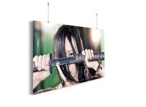 Màn chiếu DNP Supernova Blade 120 Inch (16:9)