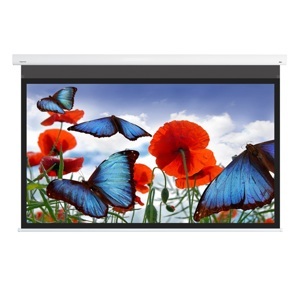 Màn chiếu DNP Supernova Flex 120 inch