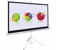 Màn chiếu đứng 100'' Apollo/Dalite