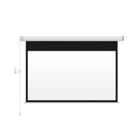 Màn chiếu Fengmi S1R 100inch