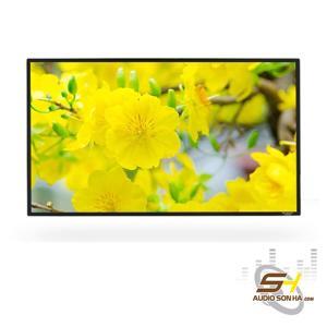Màn chiếu Grandview LF-PE92