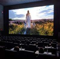 Màn chiếu phim 3D, FullHD-200 inch HDFilm200