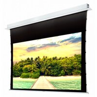 Màn chiếu Tab-tension Dalite P250T - 250 inch