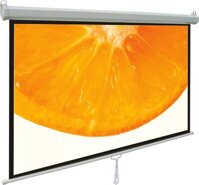 Màn chiếu treo 120 inch Dalite
