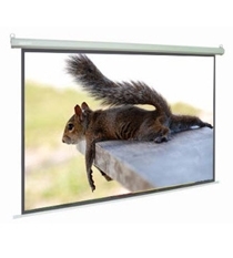 Màn chiếu treo Dalite - 84 x 84 inch (2.13 x 2.13 m)