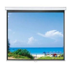 Màn chiếu treo DALITE PL96WS (PL96WS) - 96 x 96 inch (2.44 x 2.44 m)