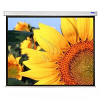 Màn chiếu treo tường 120 inch - Máy tính, laptop, máy in, máy photocopy Ninh Bình - Nguyệt Phong Lan