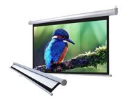 Màn Chiếu Treo Tường 70 INCH DALITE- Mã P70WS, TL