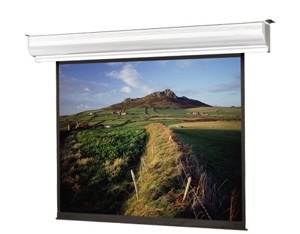 Màn chiếu treo tường Dalite 84 inch - 1.52x1.52m (60x60 inch)