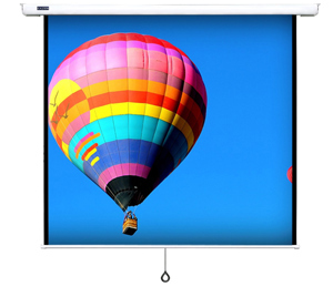 Màn chiếu treo tường Dalite CN-T100