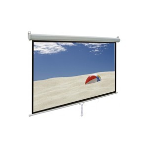 Màn chiếu treo tường Dalite P50WS