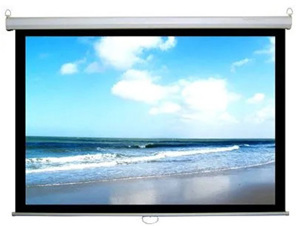 Màn chiếu treo tường Dalite PW150WS